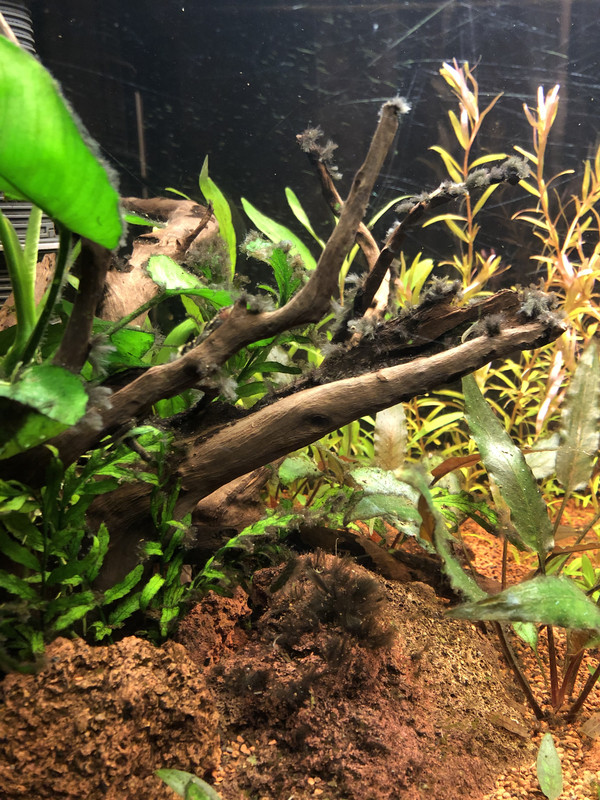 08D4DCAA-3E88-4F30-AC8F-92BDB29115A5