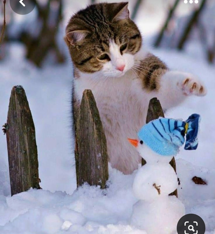 Screenshot_20230616_231932_Pinterest