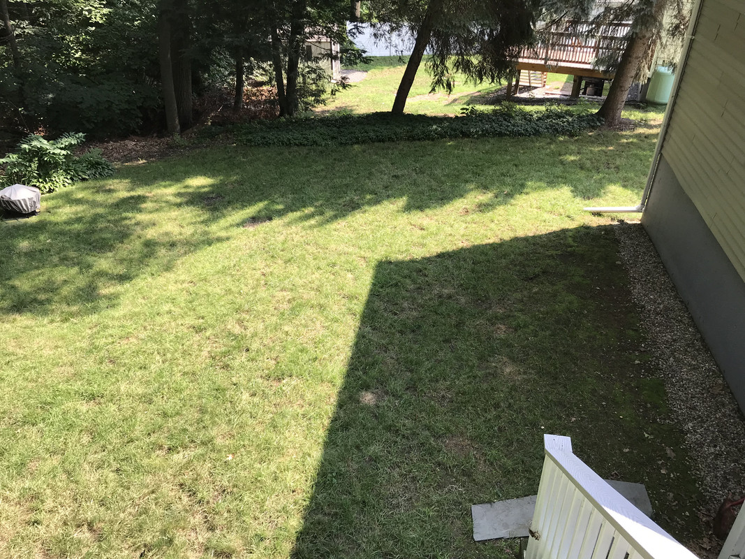 4F2BEDB3-F7A7-4089-8E12-DF7A8A77381F