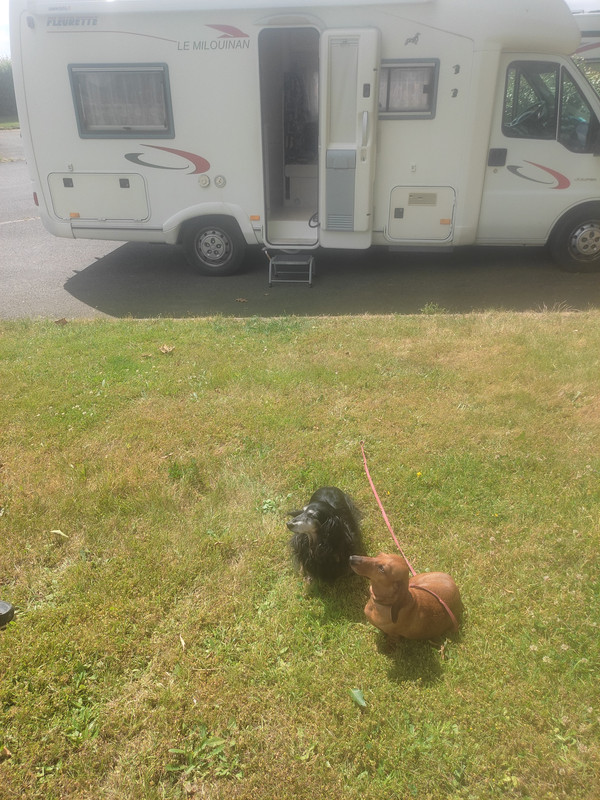 [Image: IMG-20240705-123131.jpg]