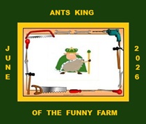 ants king