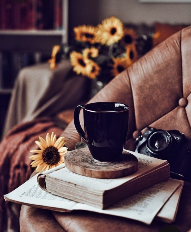 Screenshot_20230418_213702_Pinterest