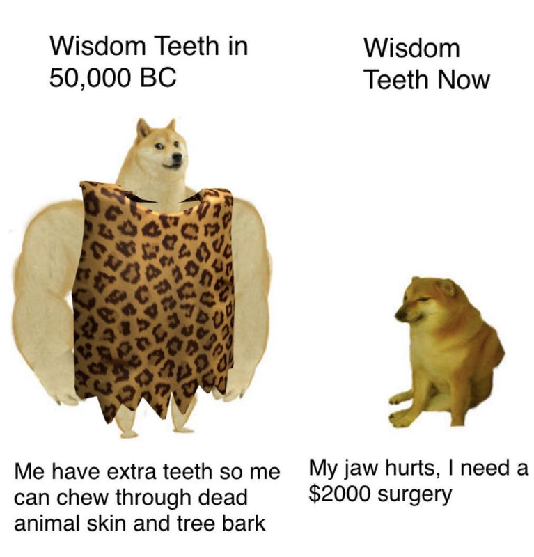 bc.jpg