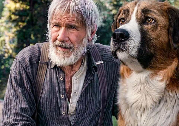 The Call of the Wild (2020) The Call of the Wild (2020)