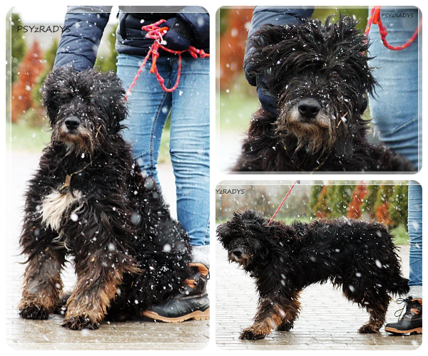 BeFunky-collage (18)