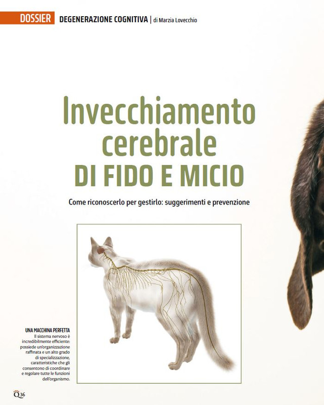 QuattroZampe Lug 2024 (1)