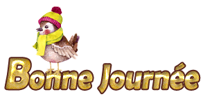 Jeudi 7 fevrier JOURNEE-OISEAU-FRILEUX