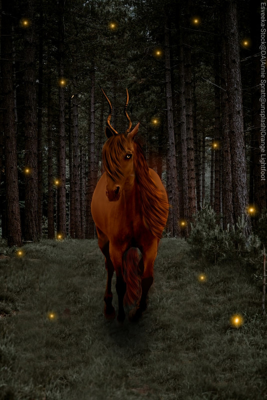 R3T2-Orange Lightfoot