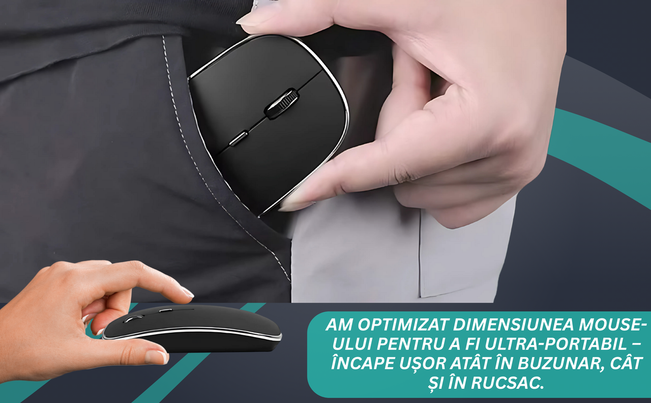 Mouse NETSTAT Prezentare 7