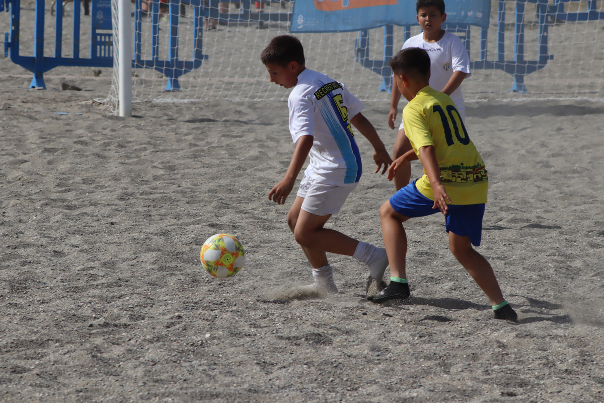 IMG-2352