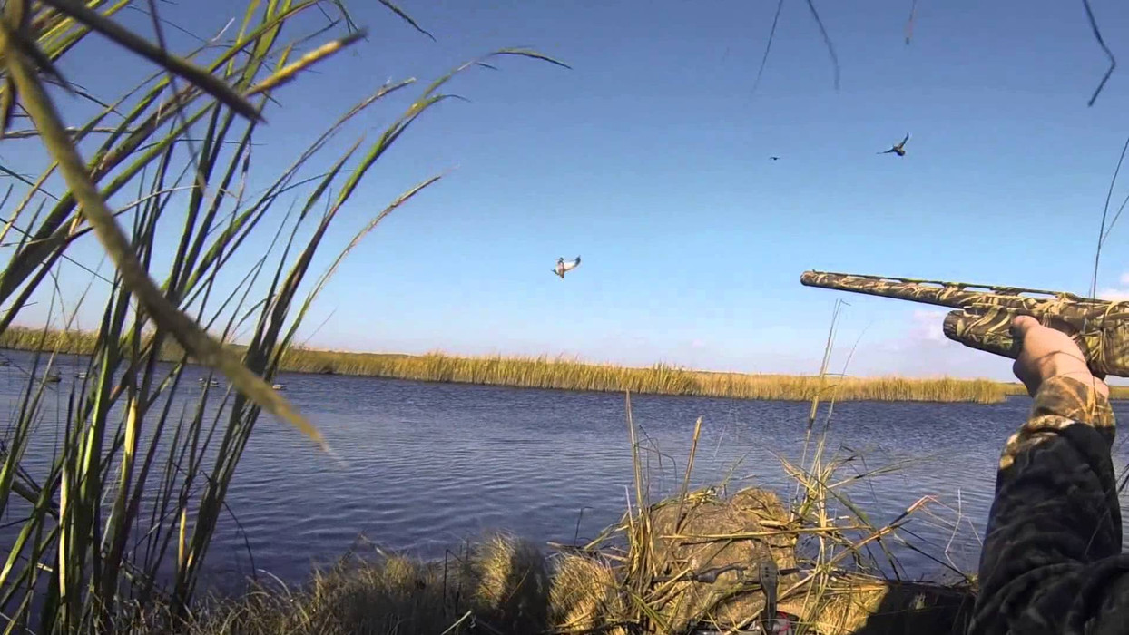 Охота на уток