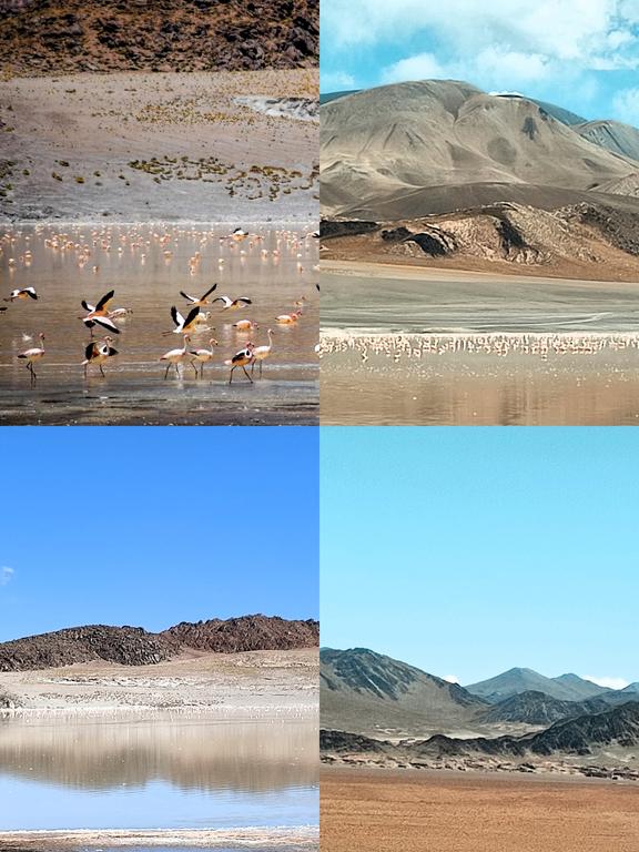 VOLCAN GALAN. LAGUNA DIAMANTE, FUMAROLAS. LAGUNA GRANDE - ARGENTINA INFINITA II/ TORRES DEL PAINE (20)