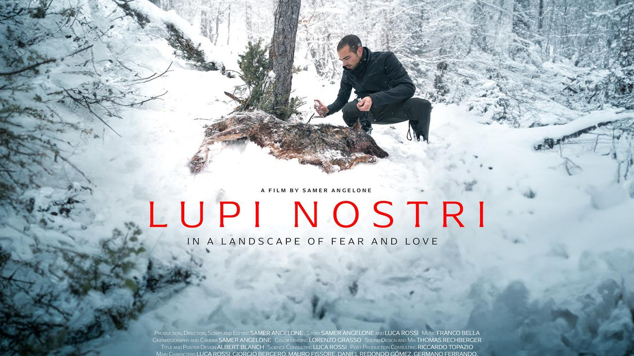 Movie cover image