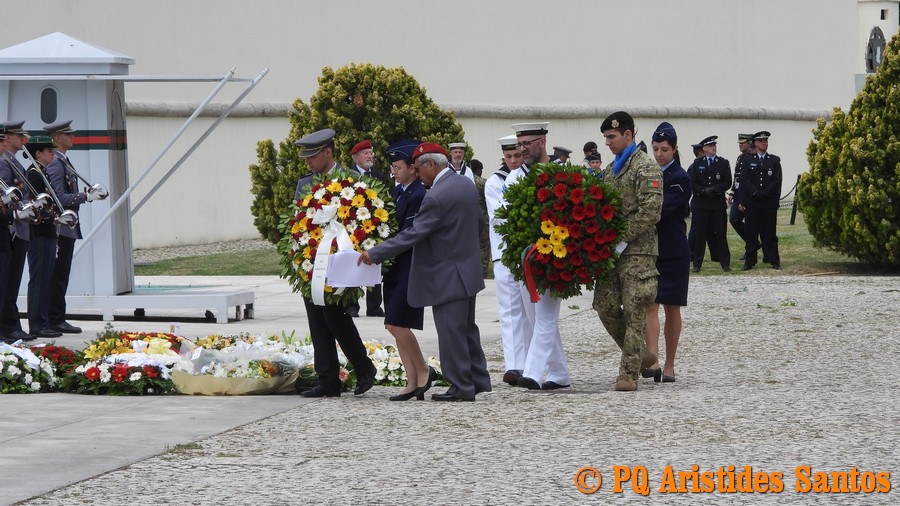 505429163-2426592097722967-3653567593607334821-n