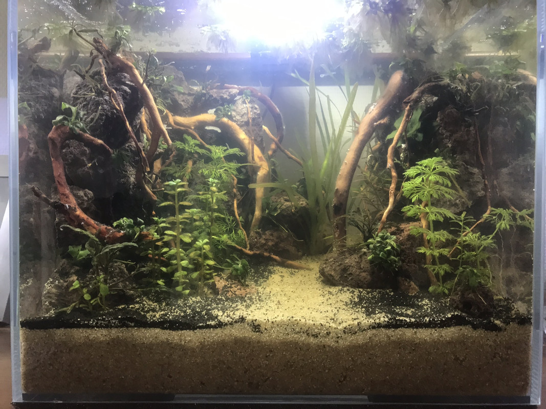 4534556A-1A93-426B-A91A-E4DD00B15CBE