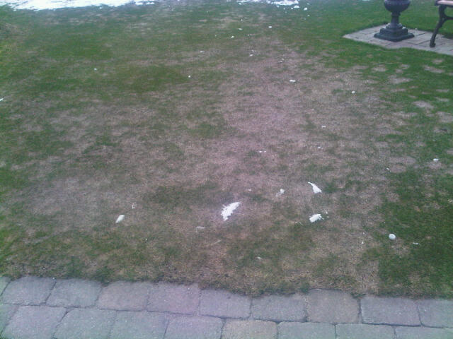 IMG00501-20141208-1524 (1) (1)