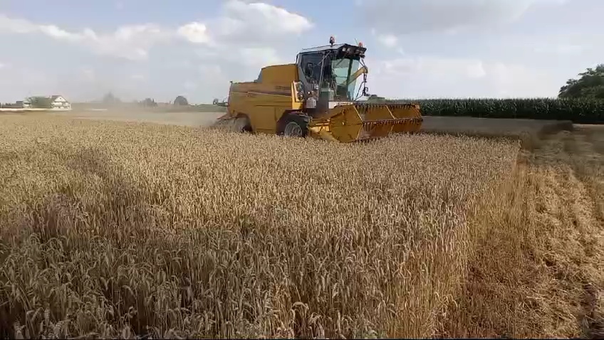 VideoCapture_20240724-052128