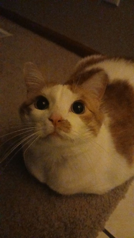 👁️👁️