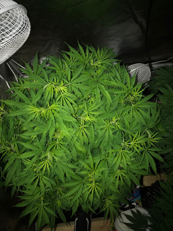 7D2BE83C-C5A5-4DE3-91DB-802890573B2E