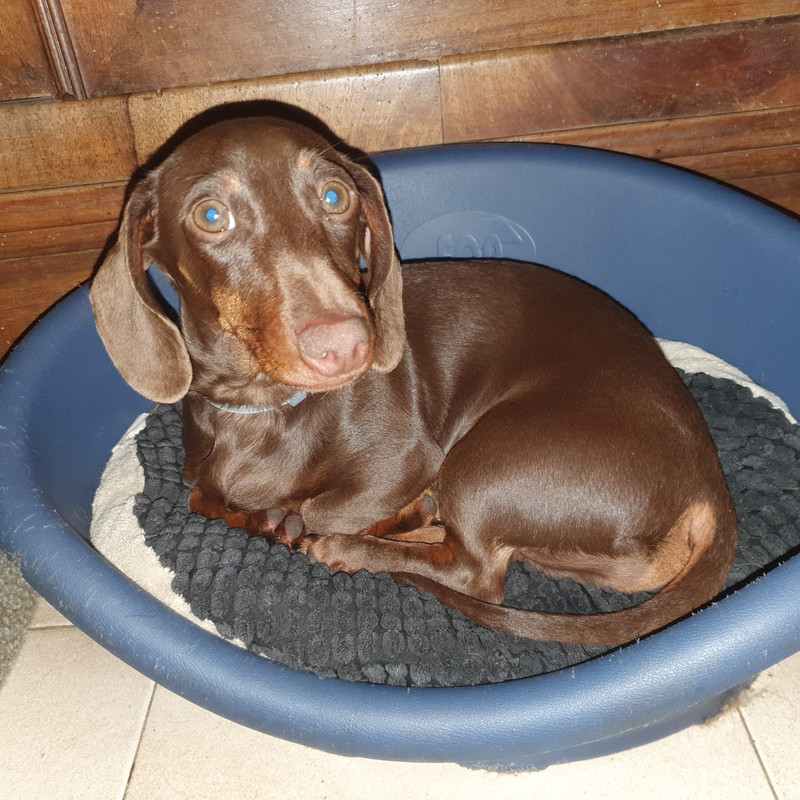 [Image: 20210506-212852.jpg]