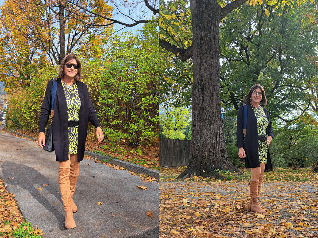 Externes Bild, es gelten die Datenschutz- und Nutzungsbestimmungen der ausgewählten Seite.