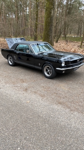 3D229608-CCA5-4EA9-93E1-A1B7AFE89EBE