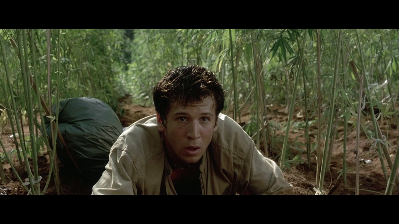 vlcsnap-2024-01-26-23h11m18s156