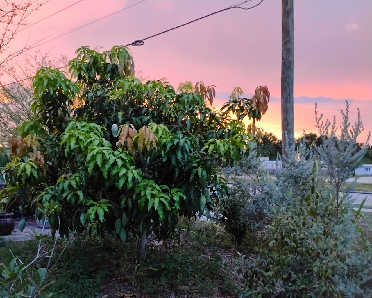 IMG 20260626 202704317 3