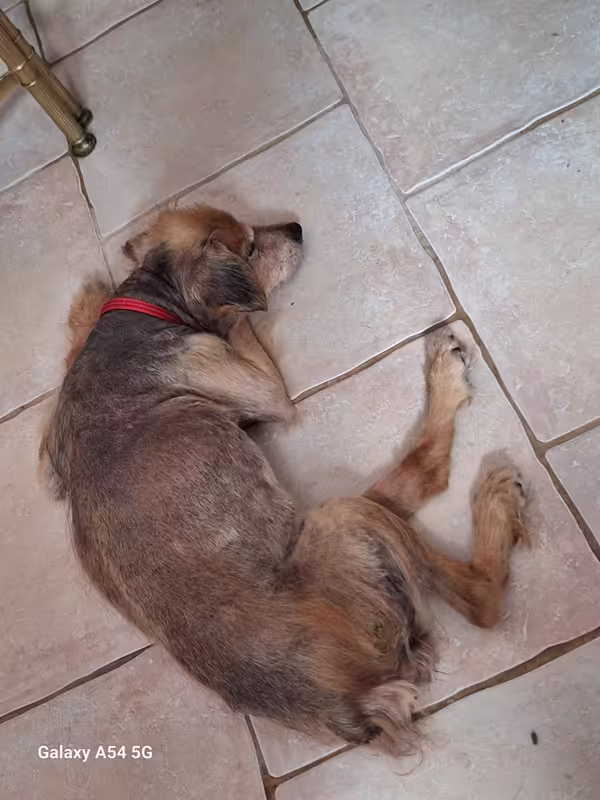 [Image: 20241022-140716.avif]