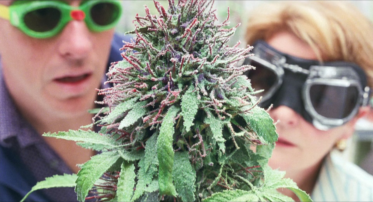 Saving Grace (2000) (1080p BluRay x265 r00t)-8