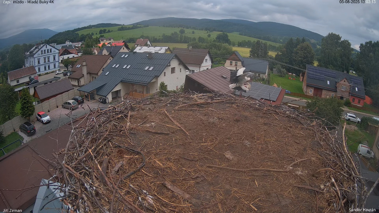 Tiešraides kamera — Mladé Buky — stārķa ligzda 4K 10-54-50 screenshot