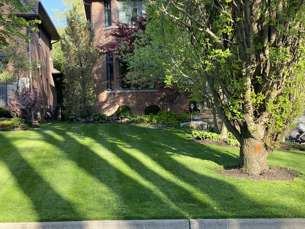 EE00AC6A-B31C-49AA-93B2-A948ABCAD429