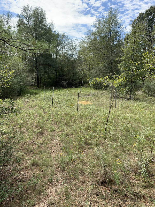 884E4C92-0A84-43AD-9A32-213A44880CA9