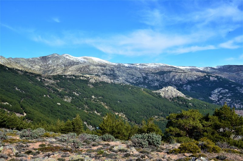 RUTA LOS PORRONES-11-1-2014-MADRID - Paseando por España-1991/2016 (35)