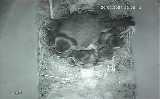 32165522-E32C-47DC-8ED4-847F51B90E66