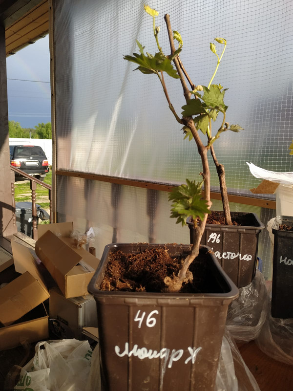 PHOTO-2022-06-01-19-31-56 (2)