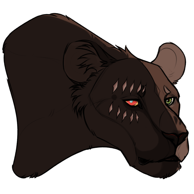 sketchcomm4-tp.png