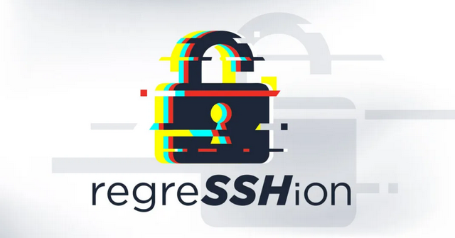 SHion: Kritische OpenSSH Server-Schwachstelle CVE-2024-6387