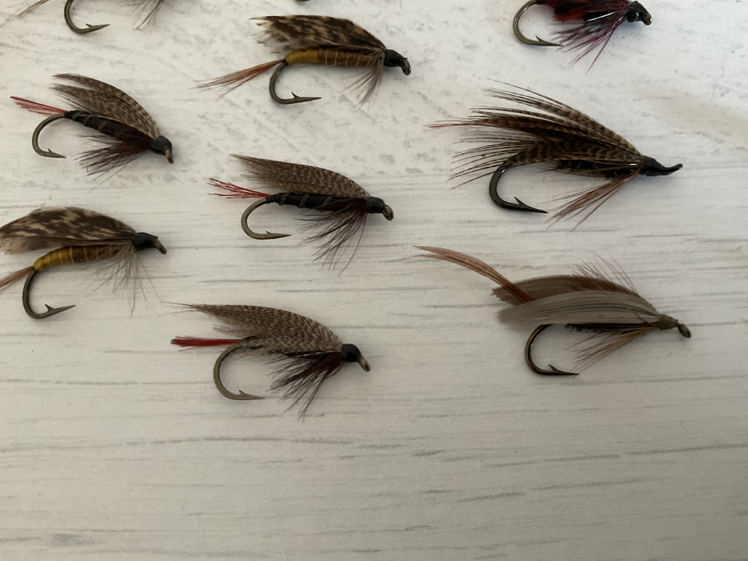 49626D02-1D9F-47F3-9E28-EC94CC5EFE56