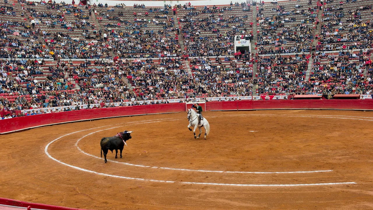 PT con nueva reforma busca decirle adiós a la tauromaquia