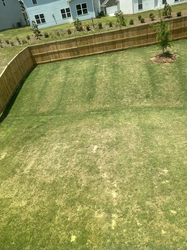 dead sod — Postimages