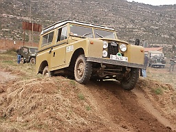 hop_br_s22231