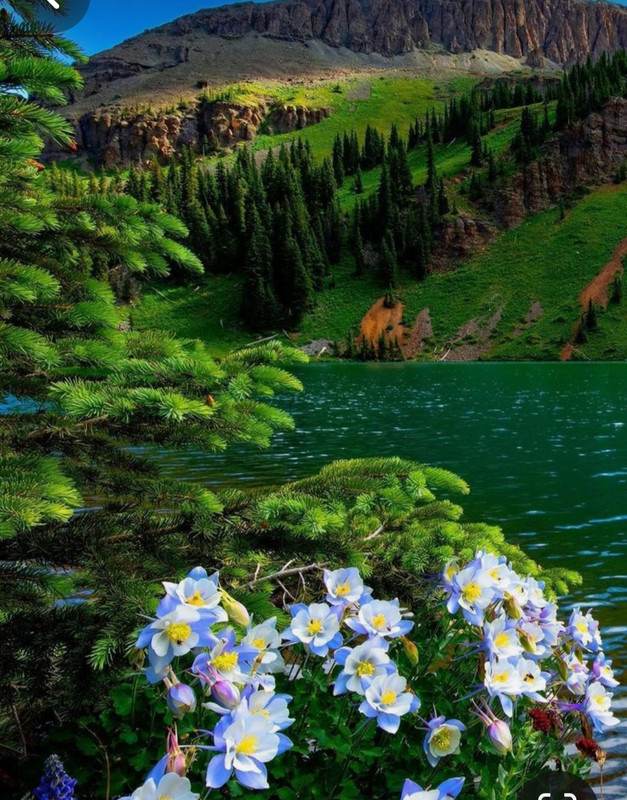 Screenshot_20240512_183417_Pinterest