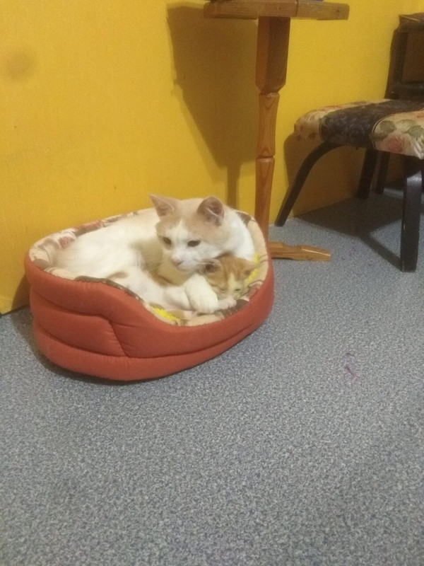 A11A0231-0FCB-420D-A784-9EDA29779F4D