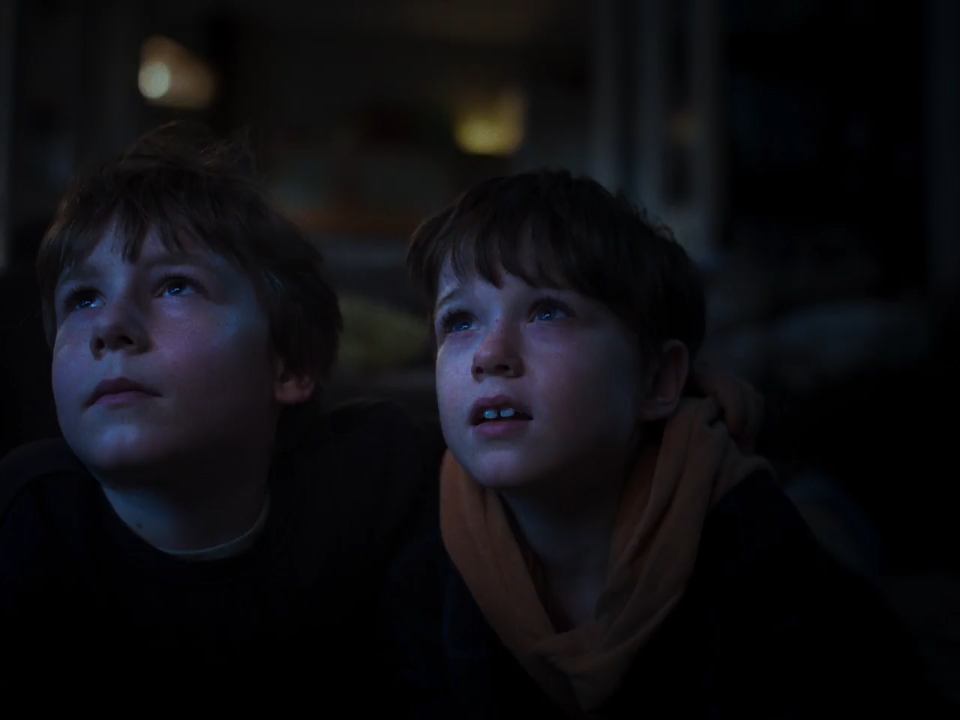 The Thing with Feathers 2025 WebRip [Hindi + English] 480p 720p ESub Screenshot