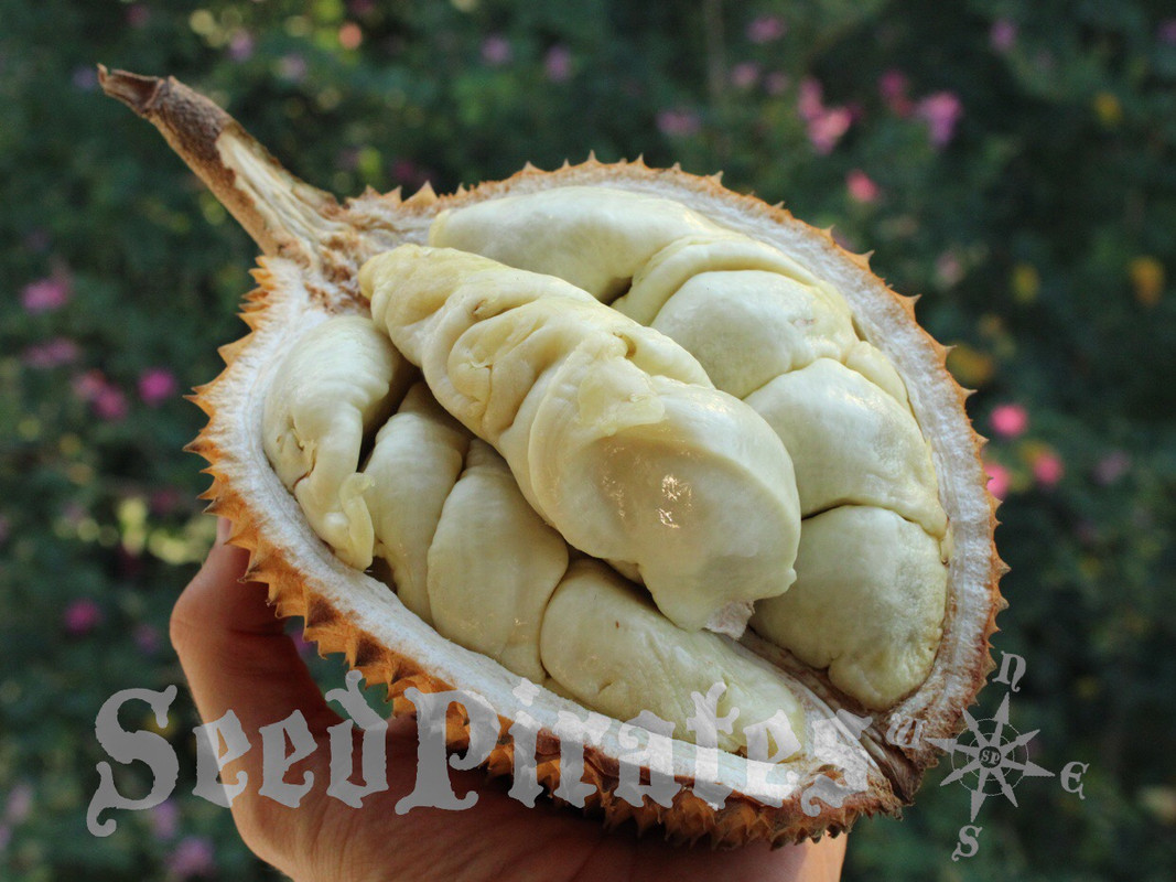 C001BD30-C6BD-4998-86A3-04232405D62F