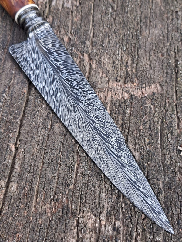 WhatsApp Image 2023-07-27 at 19.38.02 (1)