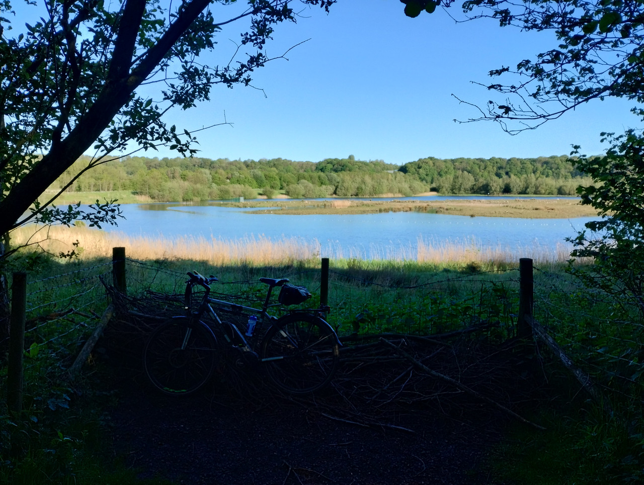 IMG 20260510 075647563 HDR