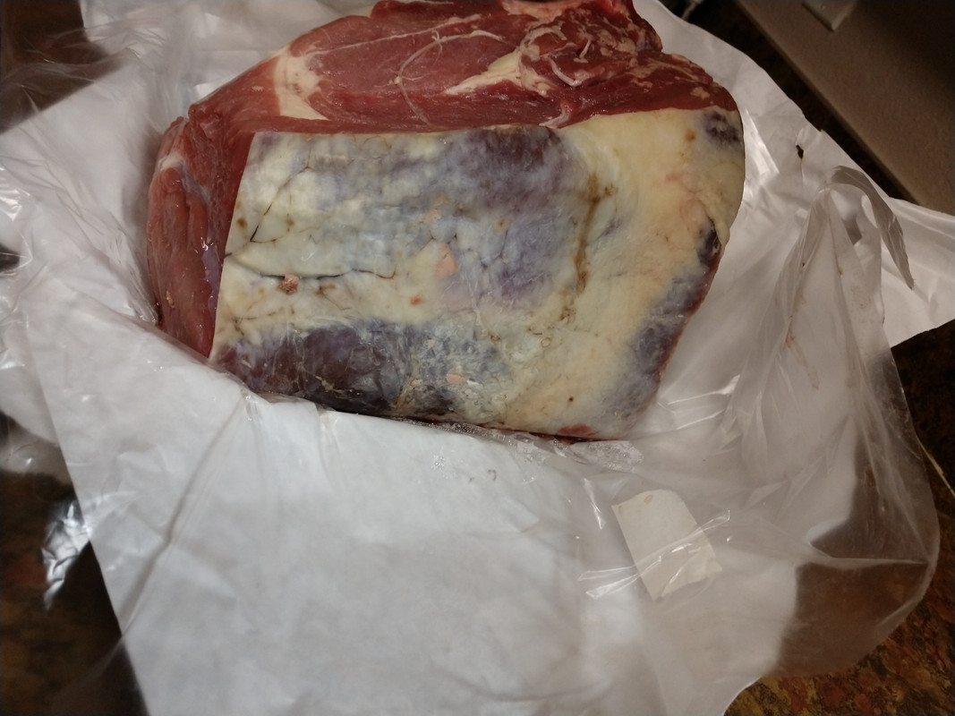 IMG_20191112_173138037