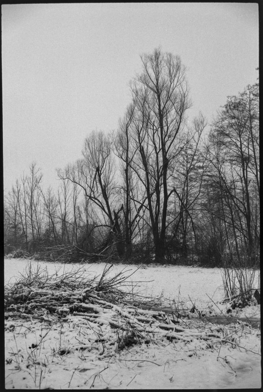 Rollei 35 S_14 16 feb2022_19 (859x1280)